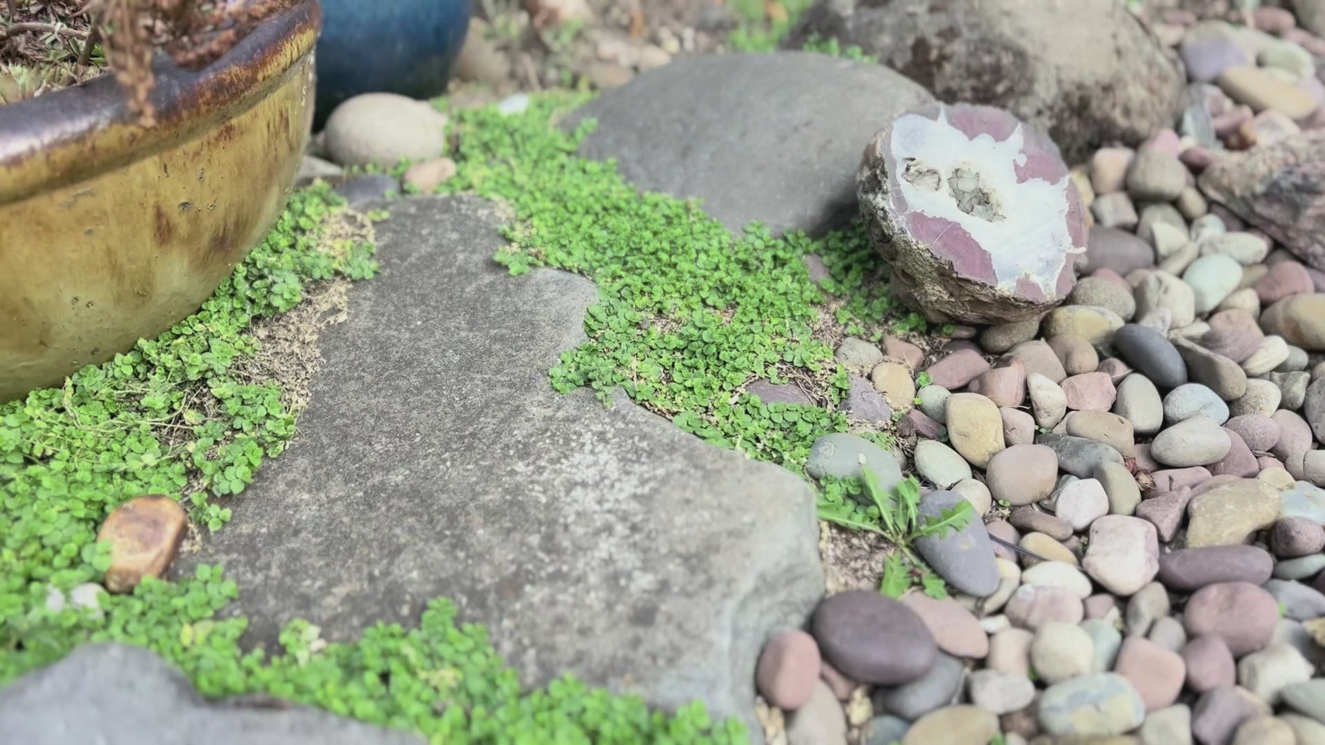 Rustic “We Are Charlie” ornament with twine hanger, ideal for political decor.