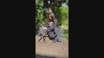 Load and play video in Gallery viewer, Sasquatch Staked Yard Art
