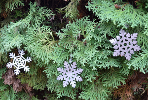 Snowflake Metal Ornaments