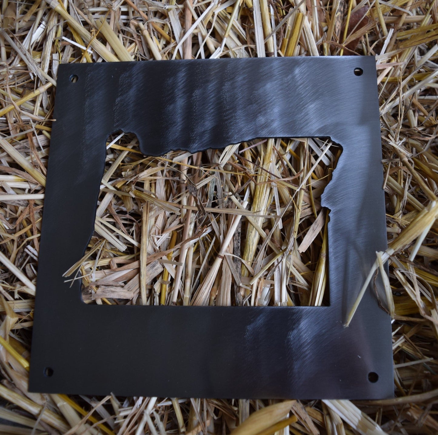 Metal State Cutout Sign - ALL STATES