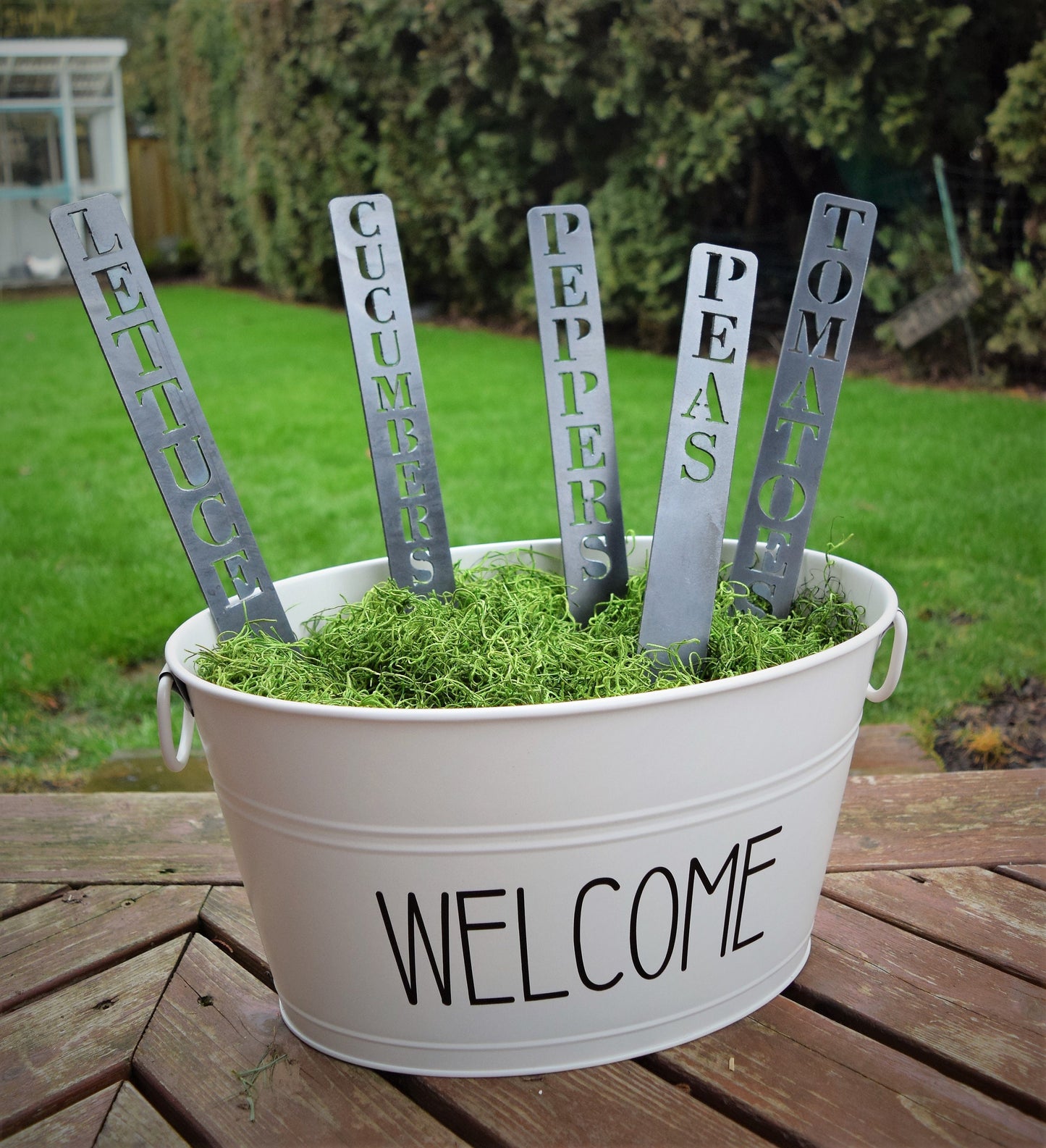 Vegetable & Herb Garden Markers
