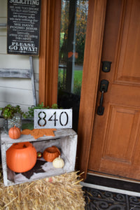 Metal Horizontal Modern Address Sign