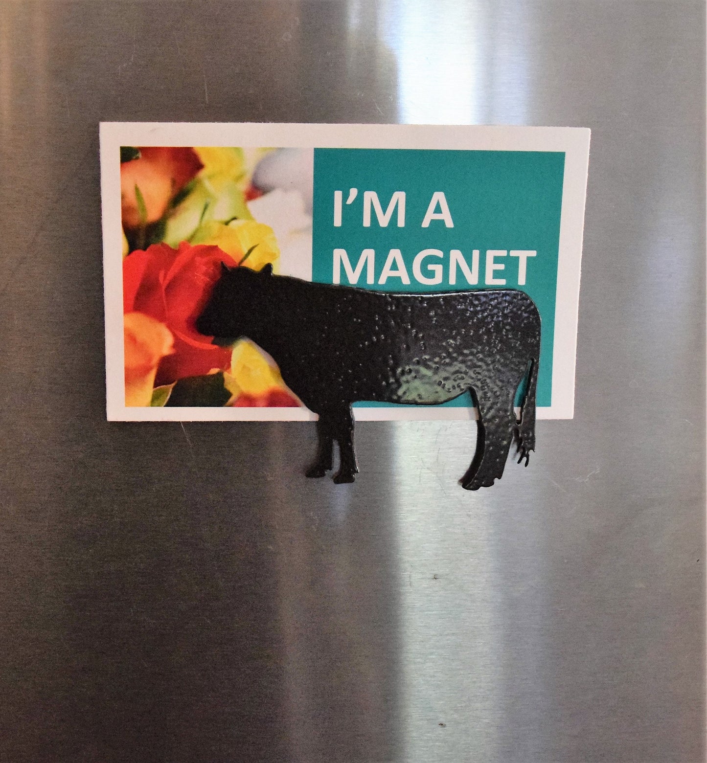 Farm Animal Magnets