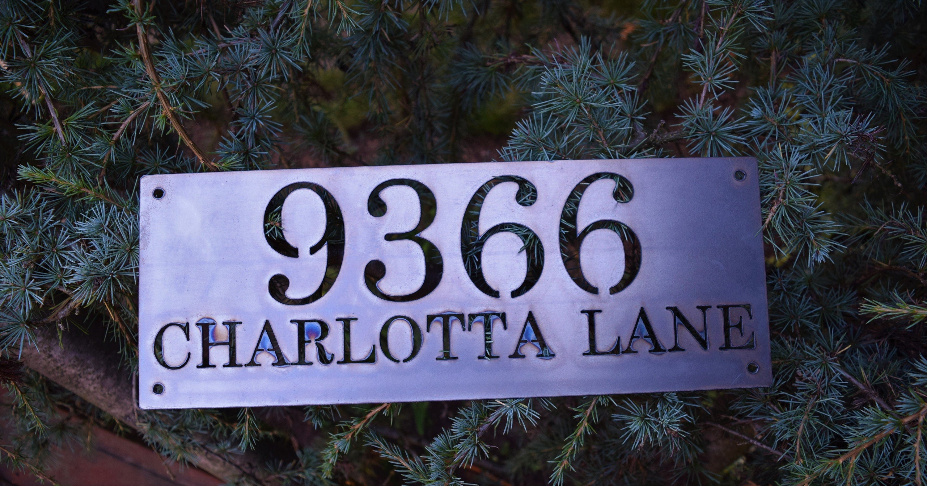 Horizontal Metal Home Address Numbers and Street Name