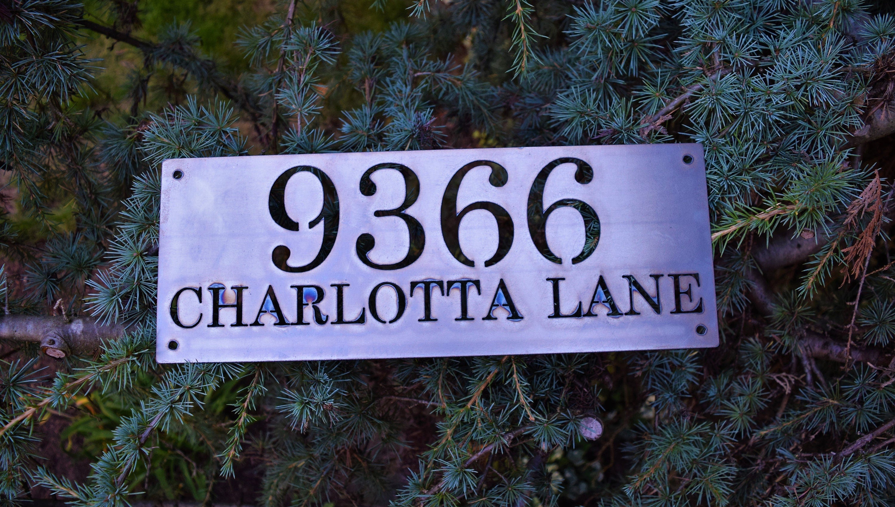 Horizontal Metal Home Address Numbers and Street Name