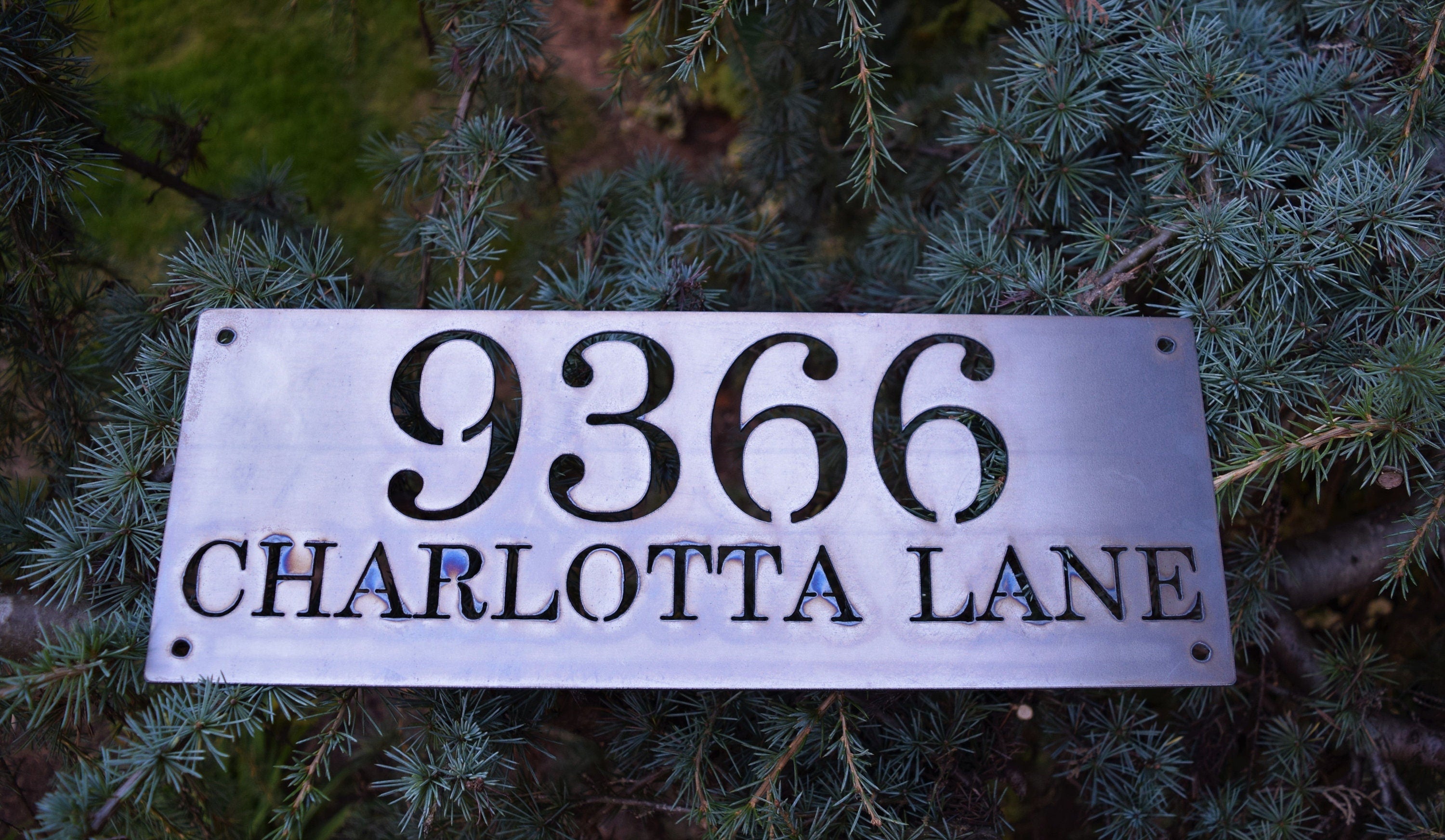 Horizontal Metal Home Address Numbers and Street Name