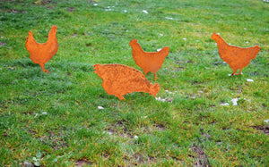Chicken Yard Stakes