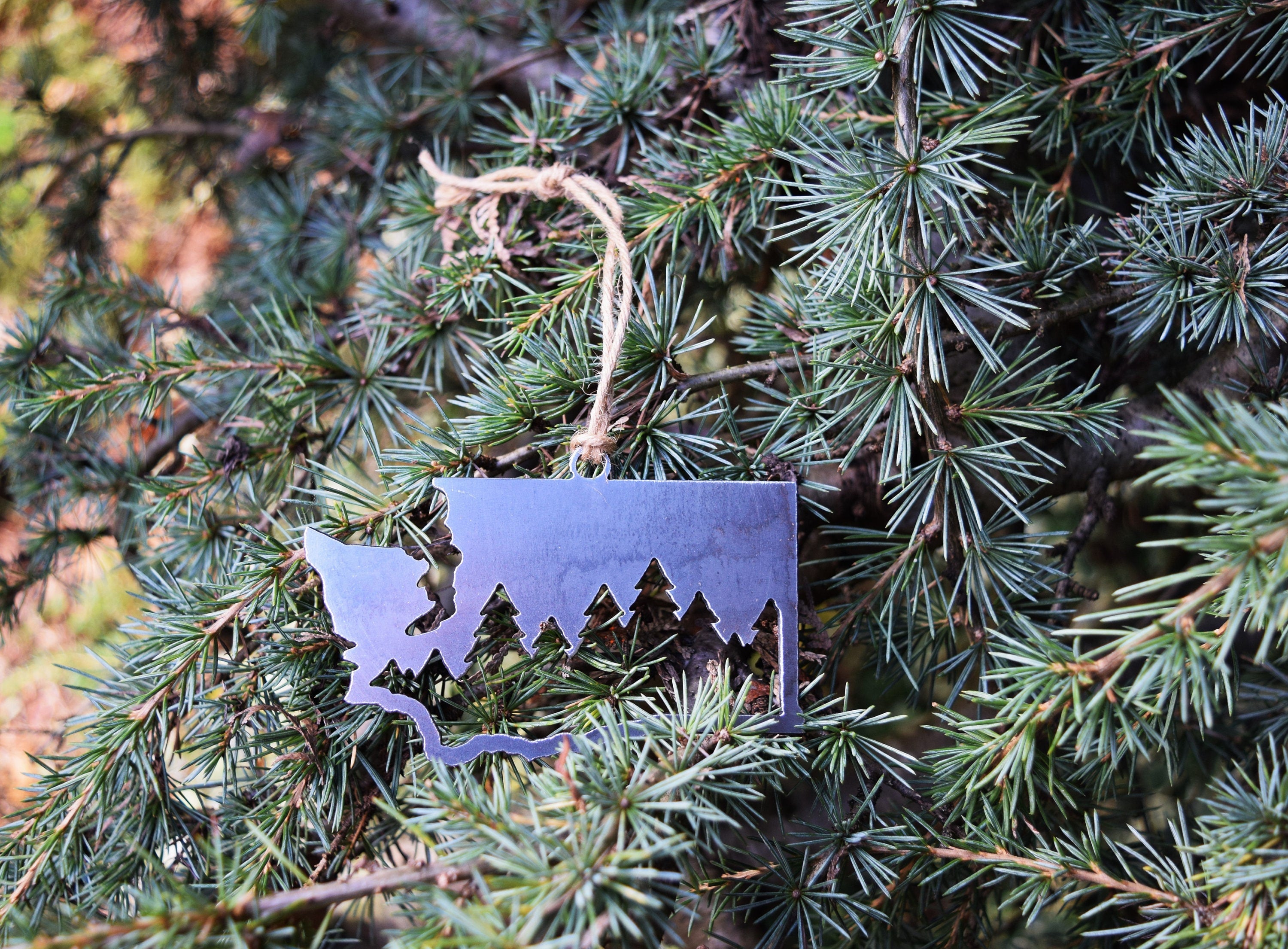 Washington Forest Metal Ornament