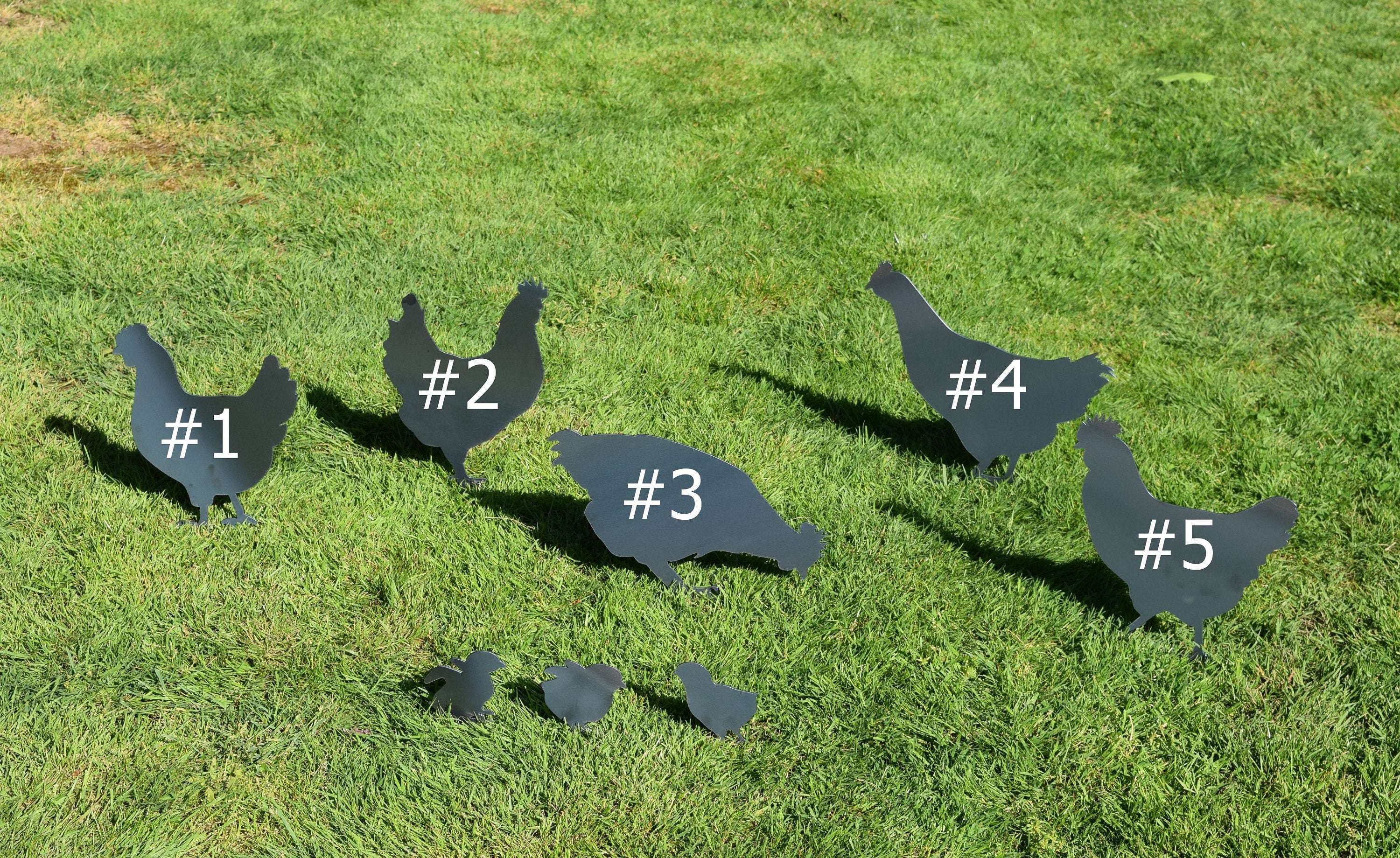 Chicken Yard Stakes