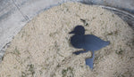 Load image into Gallery viewer, Metal Ducklings Yard Stakes
