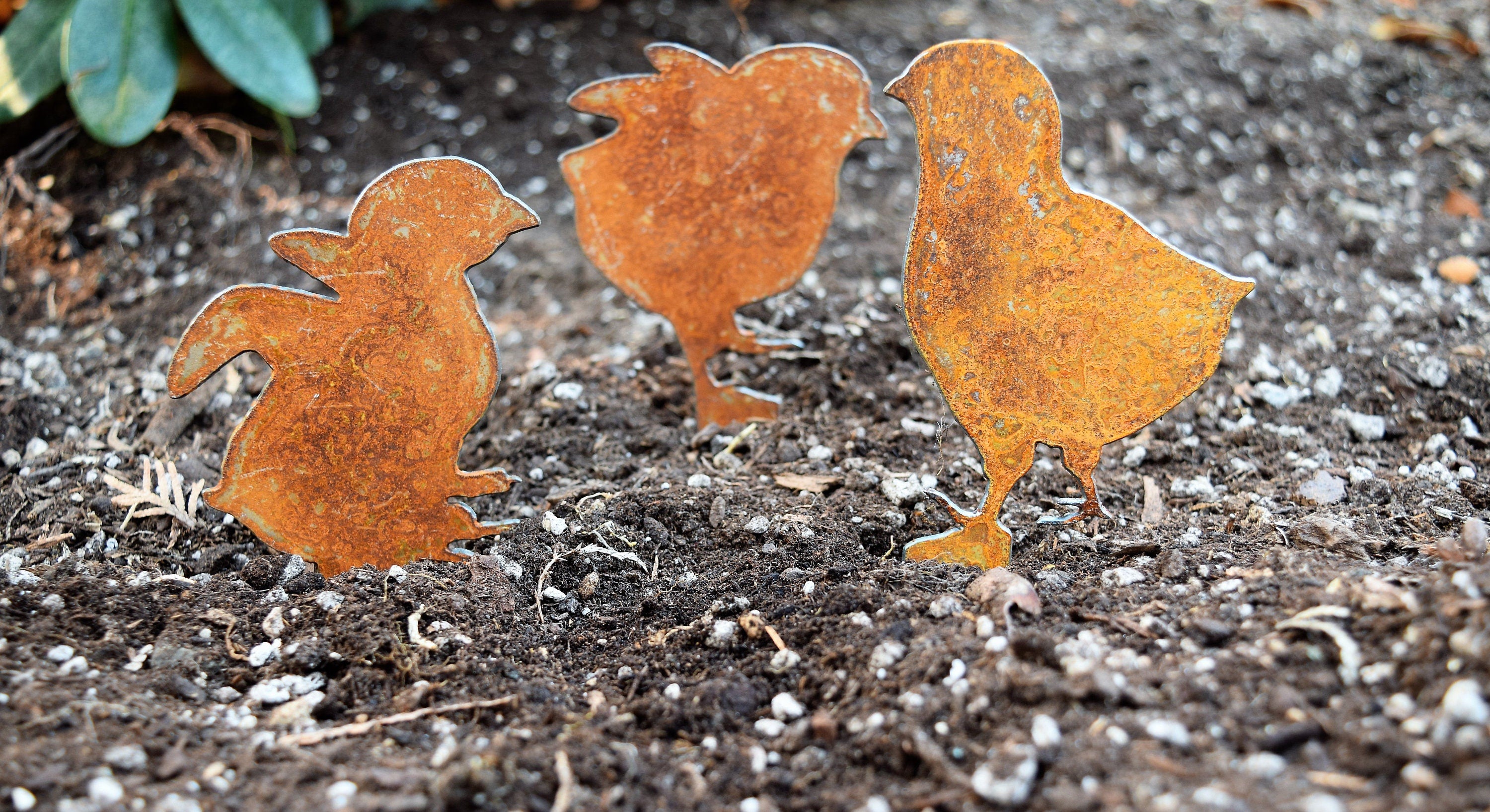 Chicken Yard Stakes